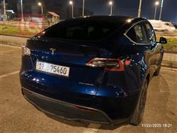 تێسلا مۆدێلی Y